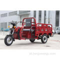 Modelo de triciclo elétrico EEC 1000W para carga